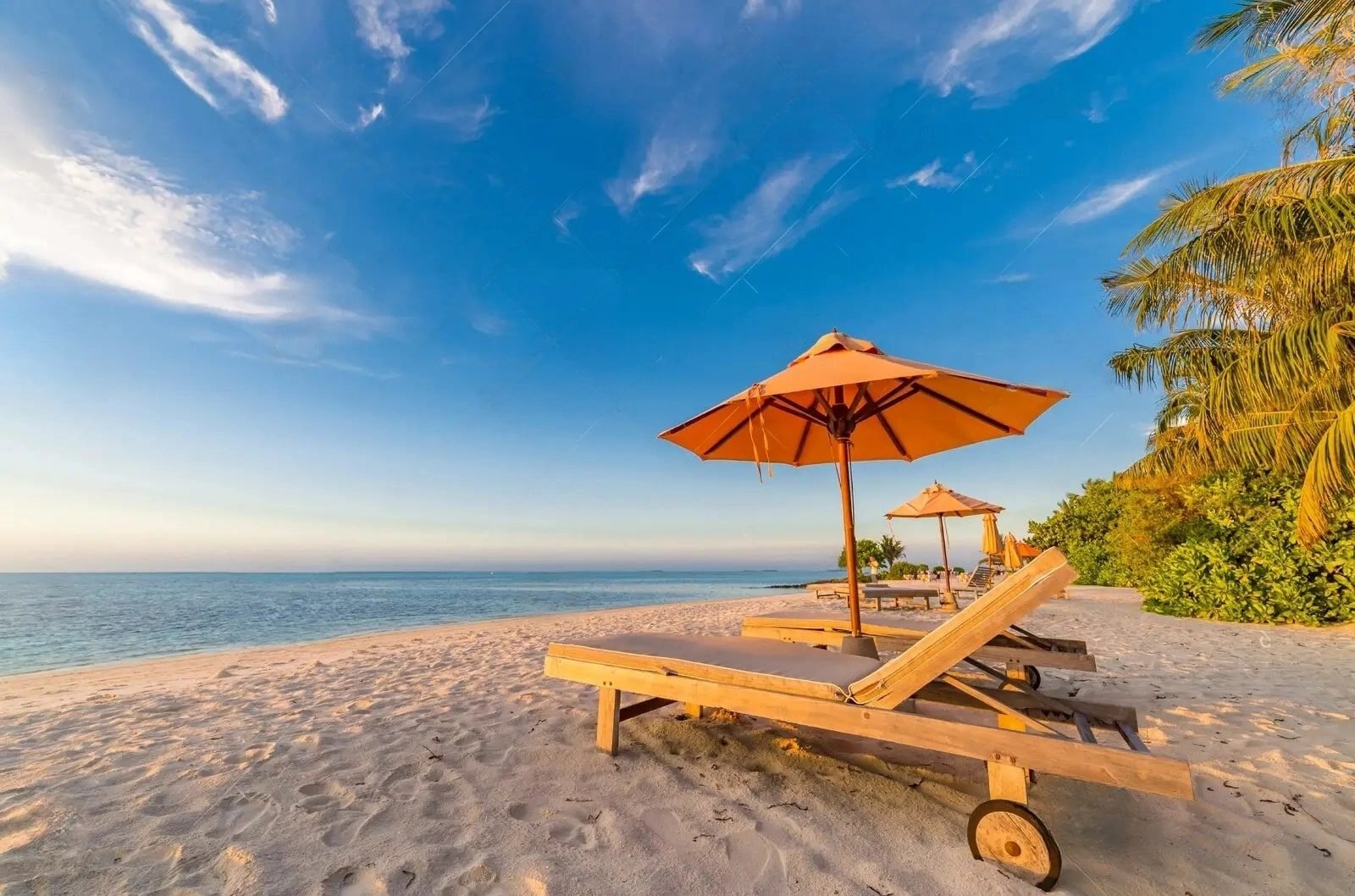 Beach Umbrella Anchor