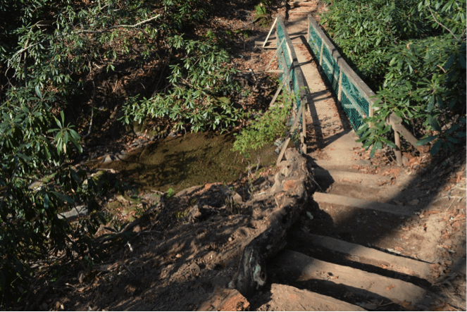 Glen Burney Trail