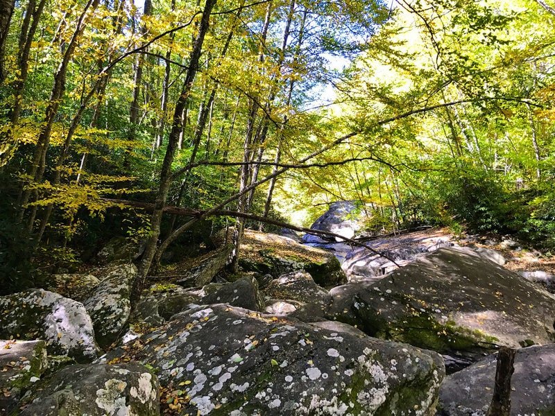 Boone Fork Trail