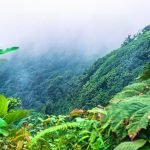 Cloud Forests Costa Rica