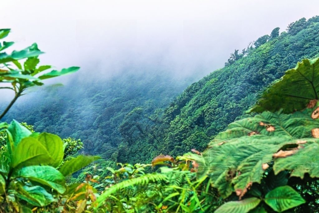 Cloud Forests Costa Rica