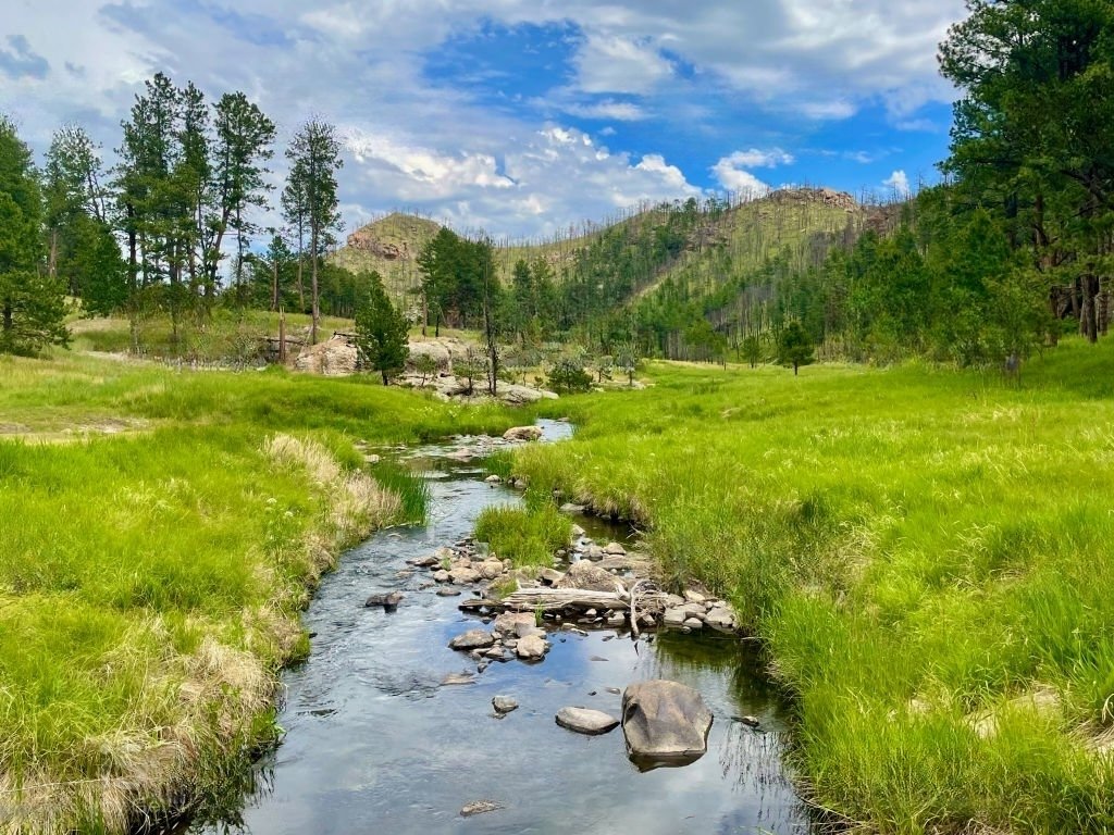 Custer - Cities in South Dakota