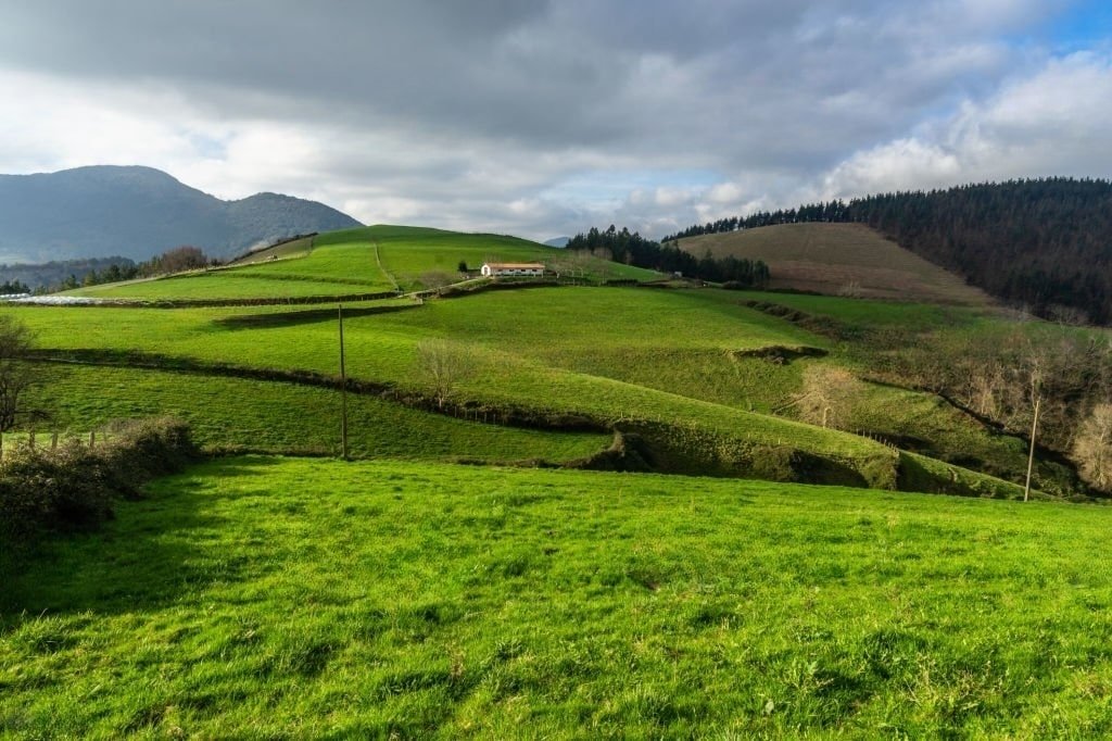 Green Spain