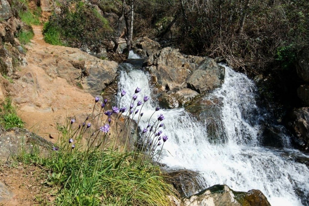 Hidden Falls Regional Park - hiking trails in Auburn CA