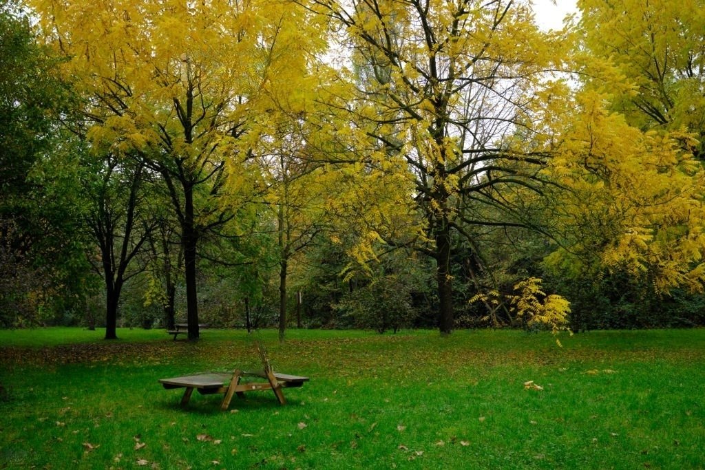 Monza Park in Autumn