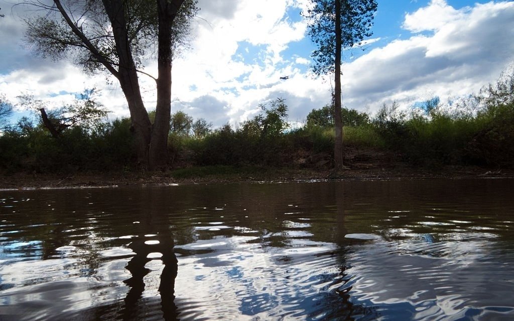 San Pedro River - Rivers in Arizona