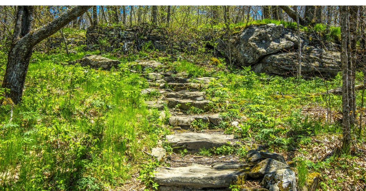 Elk Knob State Park