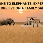 Family Safari