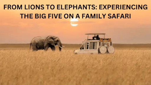 Family Safari