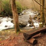 Hiking Near Bryson City NC