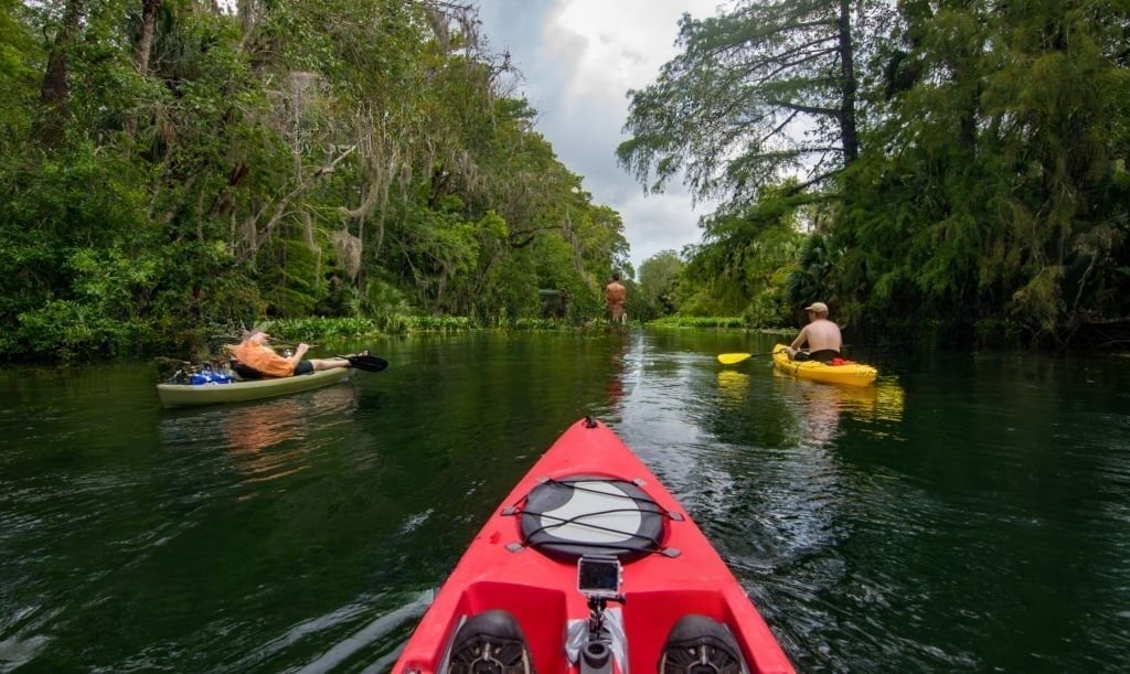 Paddle Board Motor