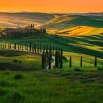 Treasures of Tuscany