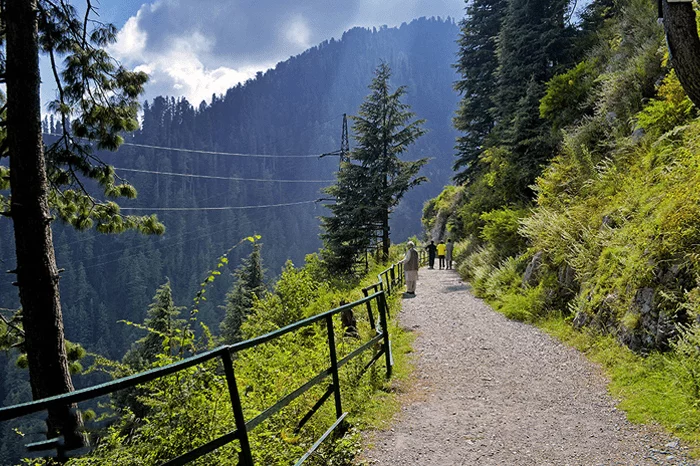 Ayubia National Park