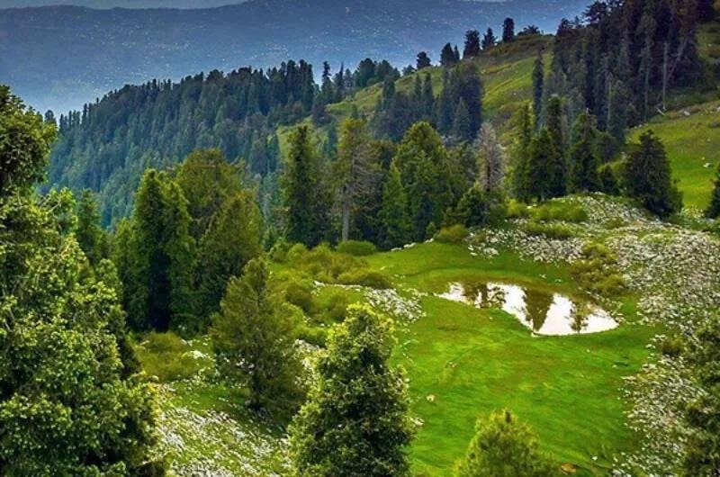 Mushkpuri Top - Places to visit in Nathia Gali