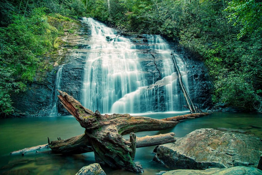 Chattahoochee National Forest - Things to do in Canton (GA)