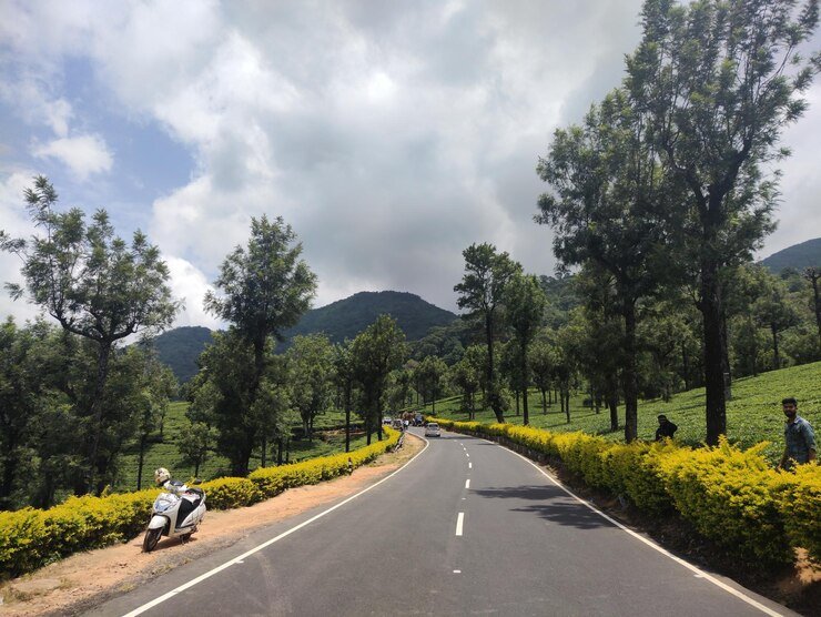 Valparai Resorts with Swimming Pool